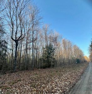 Big Sky Trl, Gaylord, MI, 49735