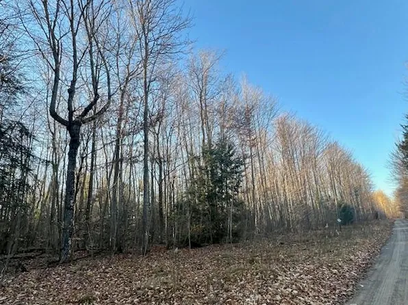 Big Sky Trl, Gaylord, MI 49735