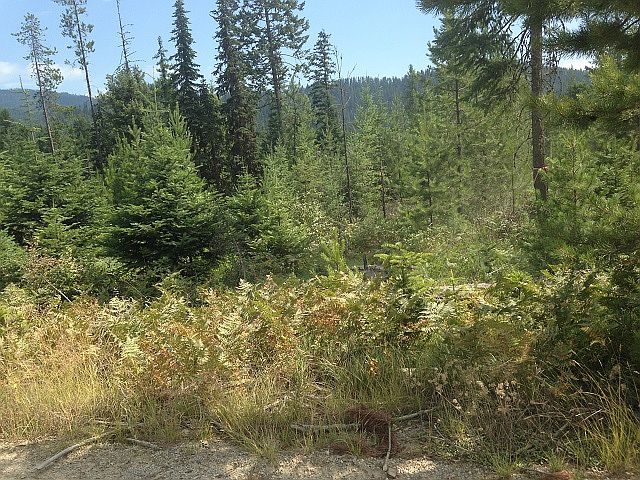 2nd image of 7225 E River Rd