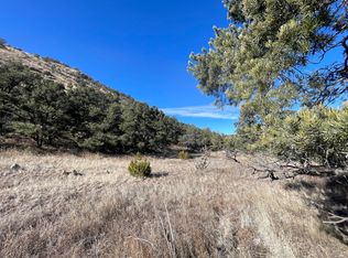 14 Hop Canyon Rd, Magdalena, NM 87825