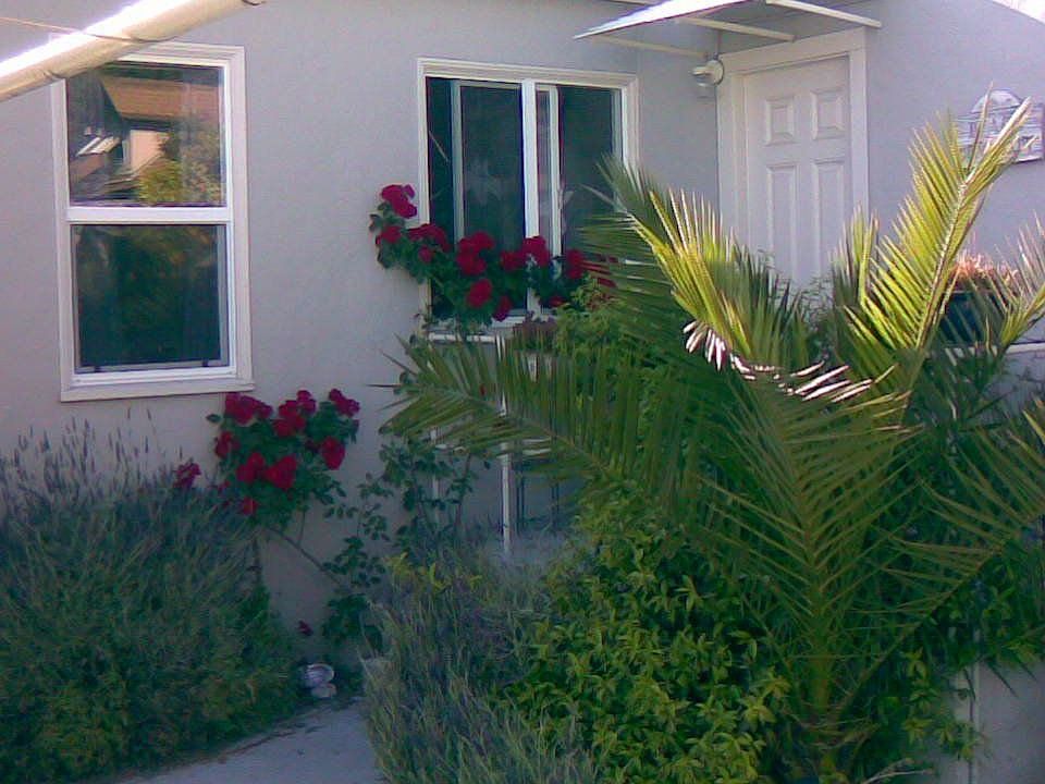 to Sunny Backyard Garden!