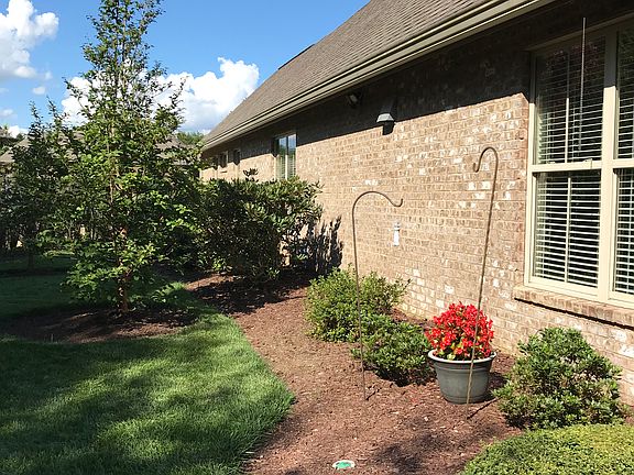 Side Landscaping