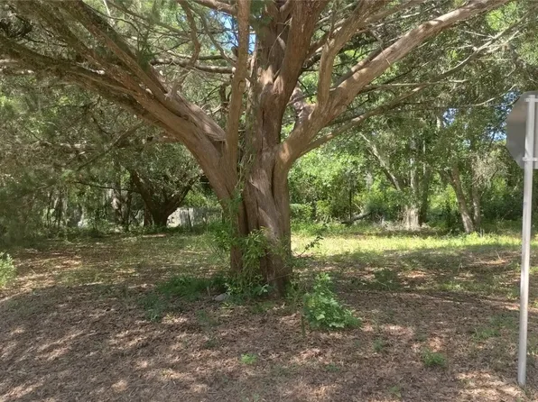 1 & 2 Someruelus St, Fernandina Beach, FL 32034