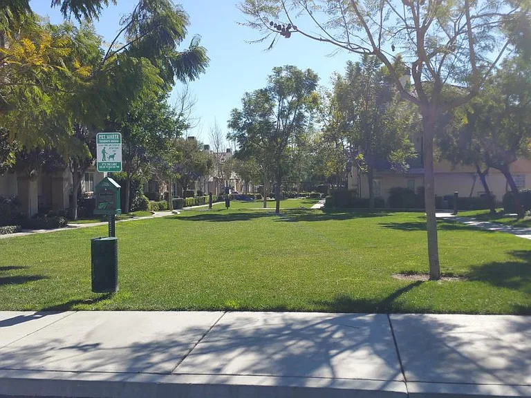 Open Area for Recreation