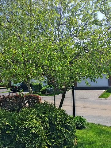 2nd image of 113 Willow Creek Ln