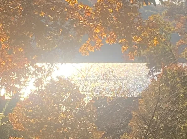 4112 Cove Point Dr, Morgantown, WV 26508