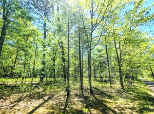 Lots 30 33 Madison Ave, Grayling, MI 49738