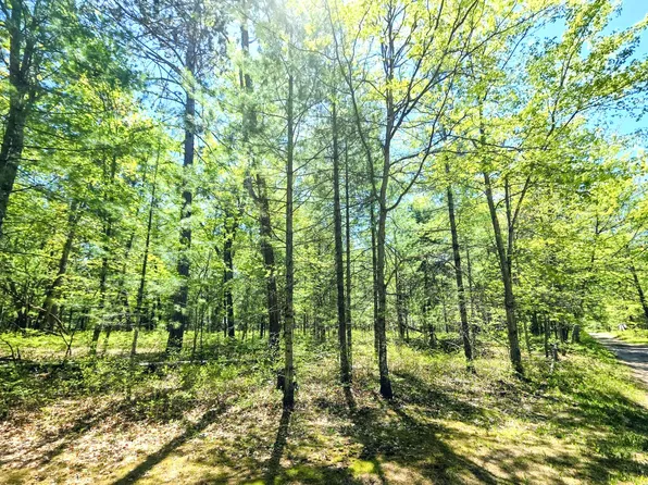 Lots 30 33 Madison Ave, Grayling, MI 49738