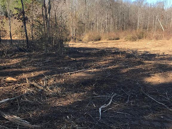 2nd image of 901 Highway 81