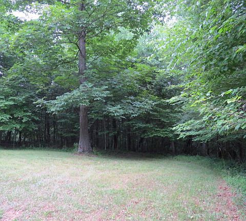 5th image of Lots 7 And 8 Chestnut Falls