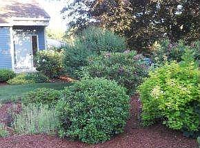 Nice landscaping