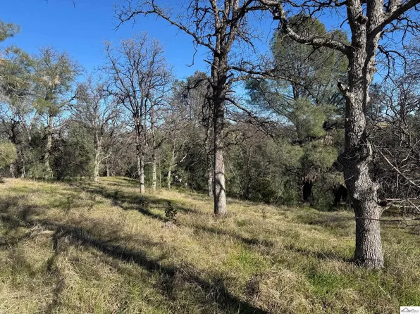 16380 Hill Crest Rd, Corning, CA 96021