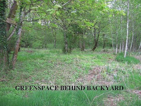 Greenspace Behind Home