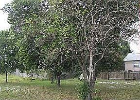 4th image of 556 Giralda Ave