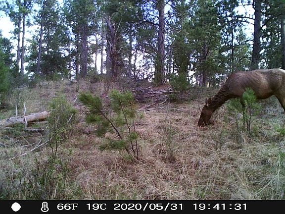 5th image of 1238 Beaver Creek Rd