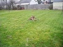 5th image of 587 Grover Cleveland Hwy