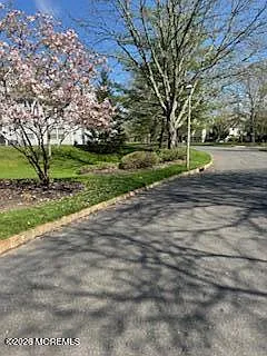 325 Towne Dr #11-5 — Photo 17