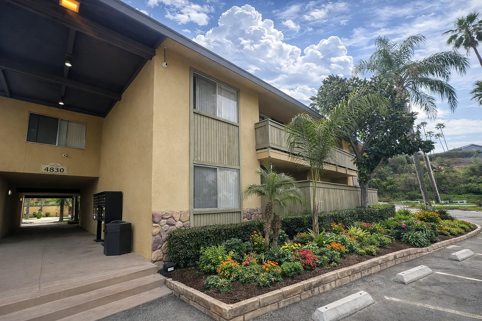 Palm Vista Apartments — Photo 4