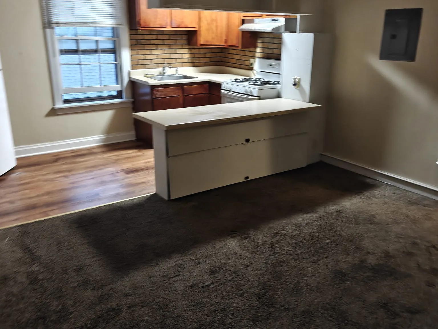 1 bed, 560 sqft, $1,800 — Photo 3