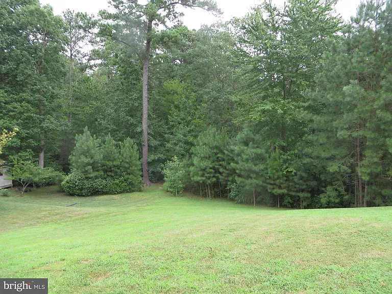 23431 Dahlia Cir — Photo 17