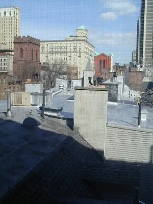 Rented by Domus Realty | media 20