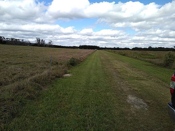 1/2 way down driveway 