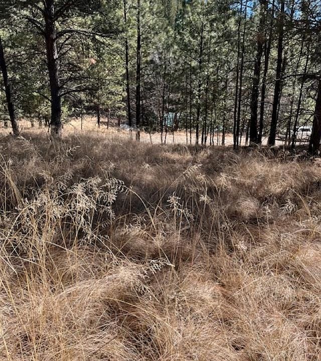 1st image of Lariat Rd