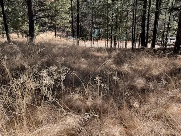 Lariat Rd, Cloudcroft, NM 88317
