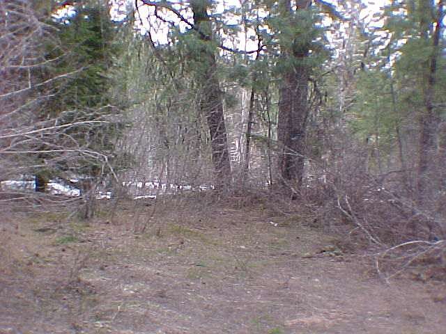 1st image of LOT 17 Castle Mountain Dr #5