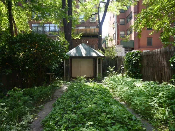 8 Perry Street image 1 of 1