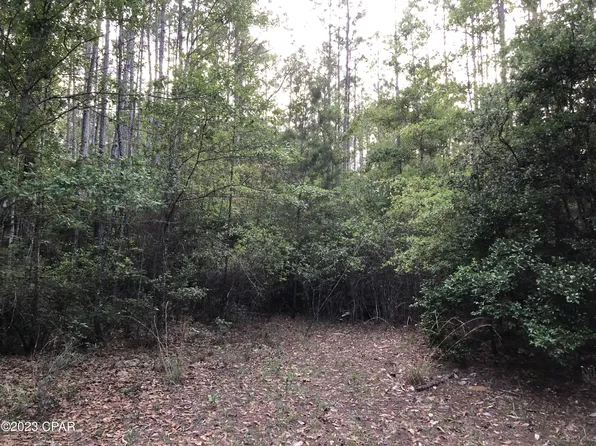 19 Nicole Rd, Freeport, FL 32439