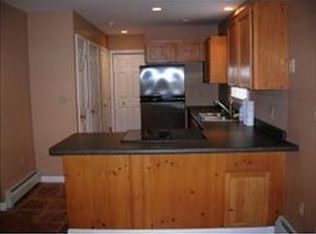 11 Frank Goodwin Rd, Wolfeboro, NH 03894