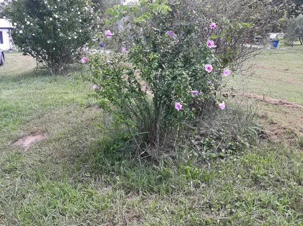 1 Cherry St, Baxter, TN 38544