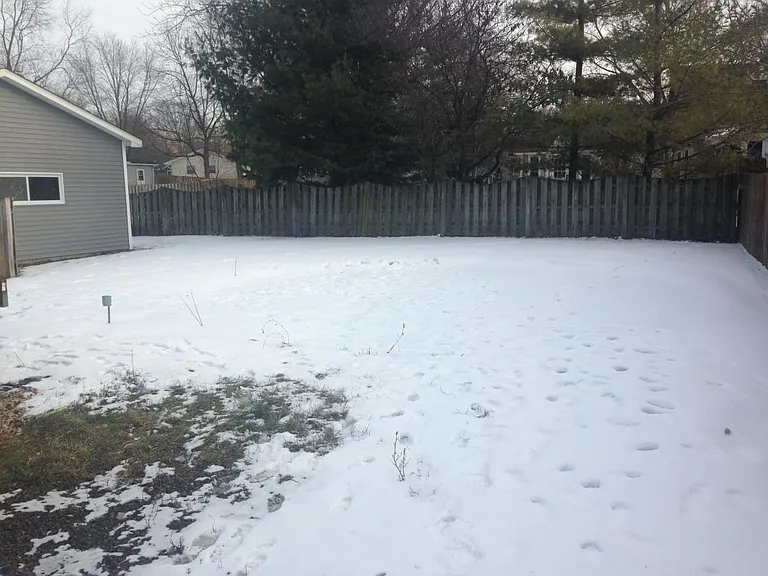 Back yard