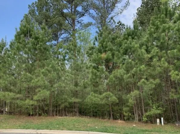 68 Larkspur Ct #507, Pittsboro, NC 27312
