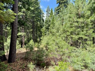 56 Fox Crest Dr, Westwood, CA, 96137