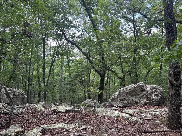 Barnes Mill Rd, Hamilton, GA 31811