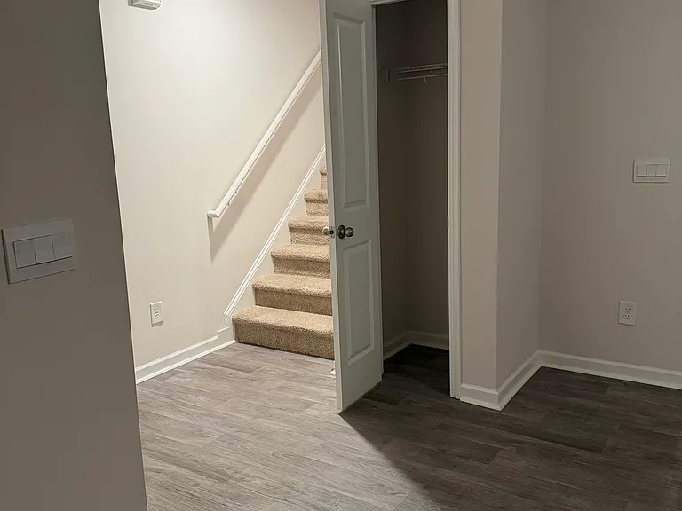 Downstairs closet and stairwell
