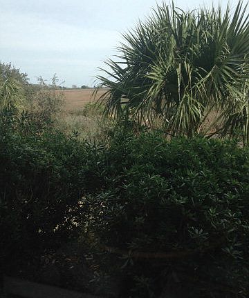 3rd image of 365 Moss Oak Cir #365