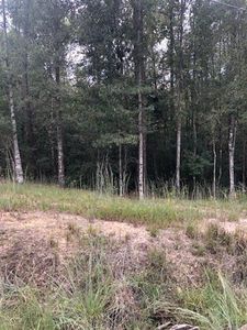 13.46 Acres Hwy #40, Bush, LA, 70431