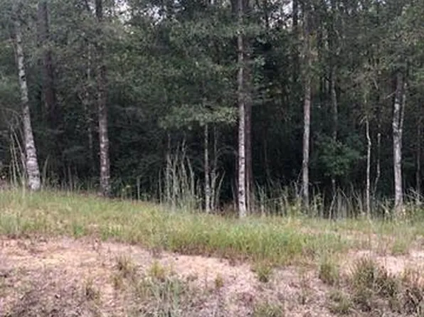13.46 Acres Hwy #40, Bush, LA 70431