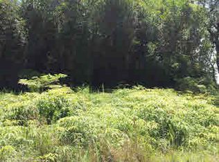 Heno St LOT 144, Volcano, HI 96785