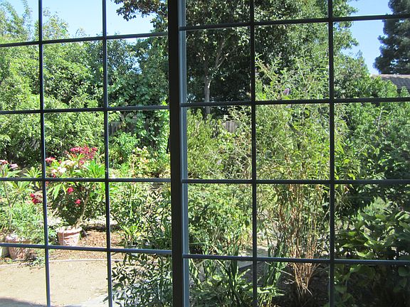 View into backyard