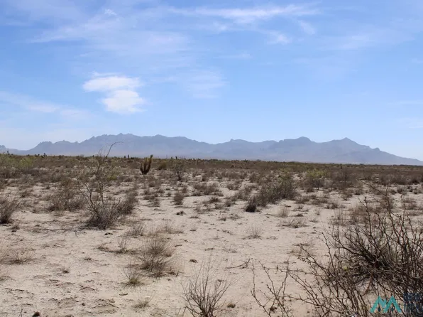 Copa De Oro Lot 44, Deming, NM 88030