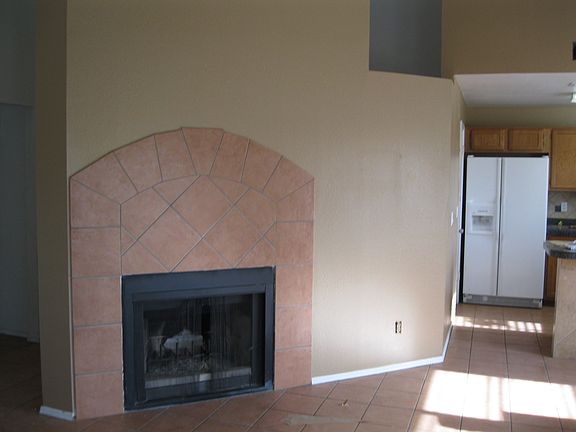 Wood Burning Fireplace