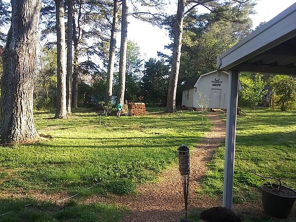 Backyard from Dining Rm