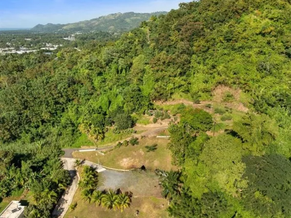 Solar 2 Barrio Daguey Urb Sagrado Corazon, Anasco, PR 00610