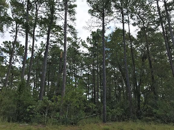 4th image of 93 Plantation Dr SW