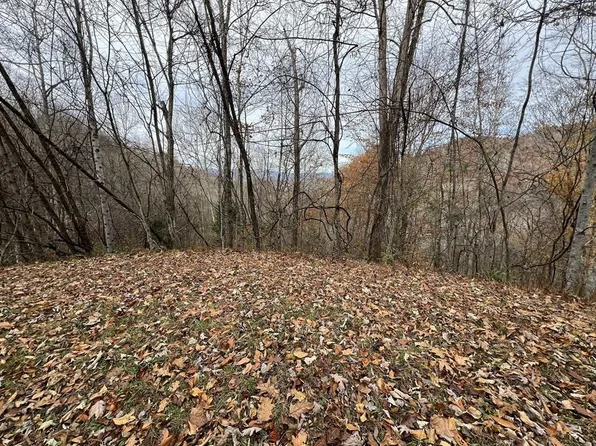 7 Deer Ridge Rd, Bryson City, NC 28713