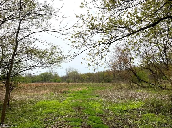 V/l Schocalog Rd, Akron, OH 44320